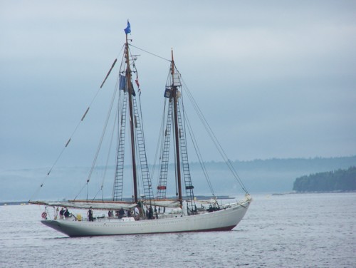 100_0485a.jpg