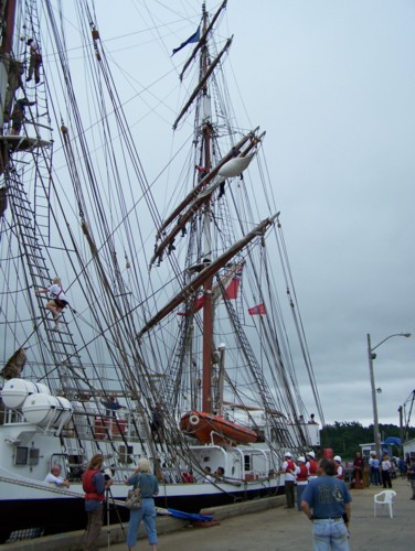 100_0489a.jpg