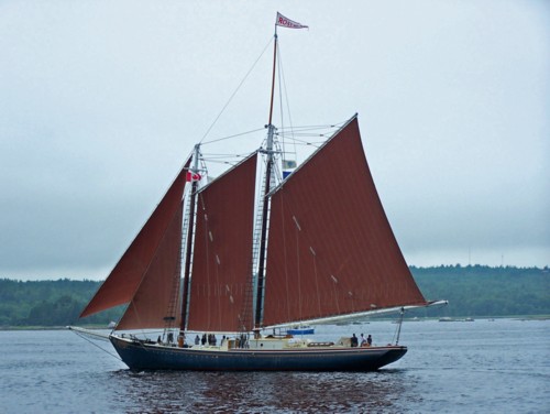 100_0510a.jpg